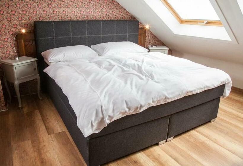 Номер Стандарт, Hôtel Les Vieux Toits