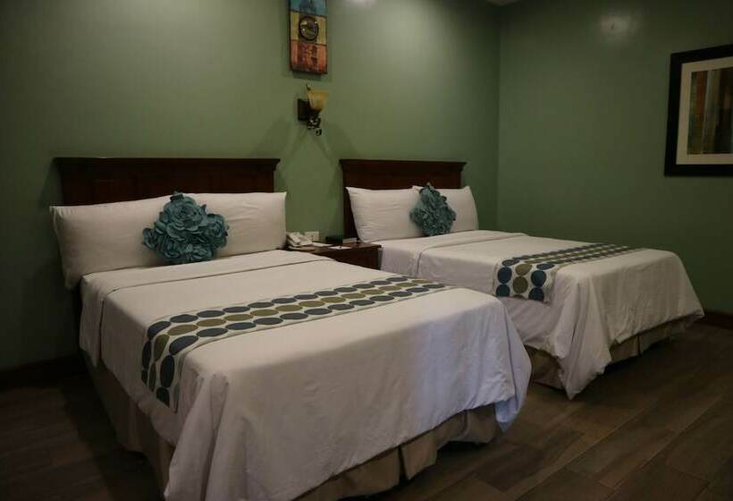 高级客房, Paragon Hotel And Suites