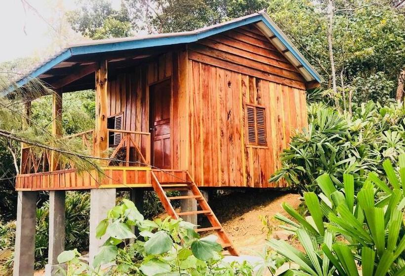 Bungalow Sandard, Robinson Bungalows