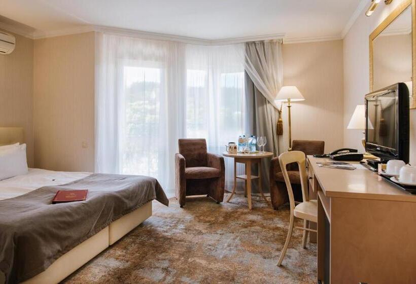 스탠다드 룸, Kyivska Russ Resort Medical&spa