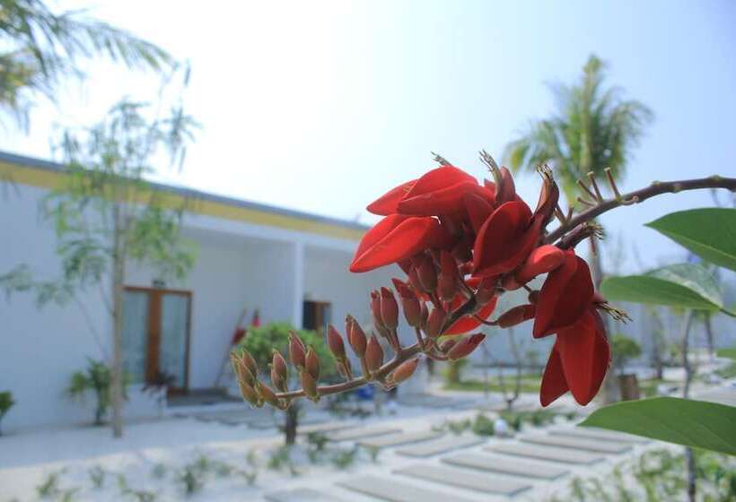 带泳池观景的豪华房, Long Set Resort