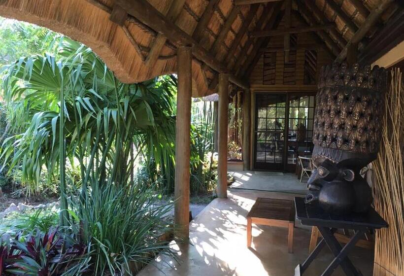 Номер Стандарт, Afrikhaya Guest House