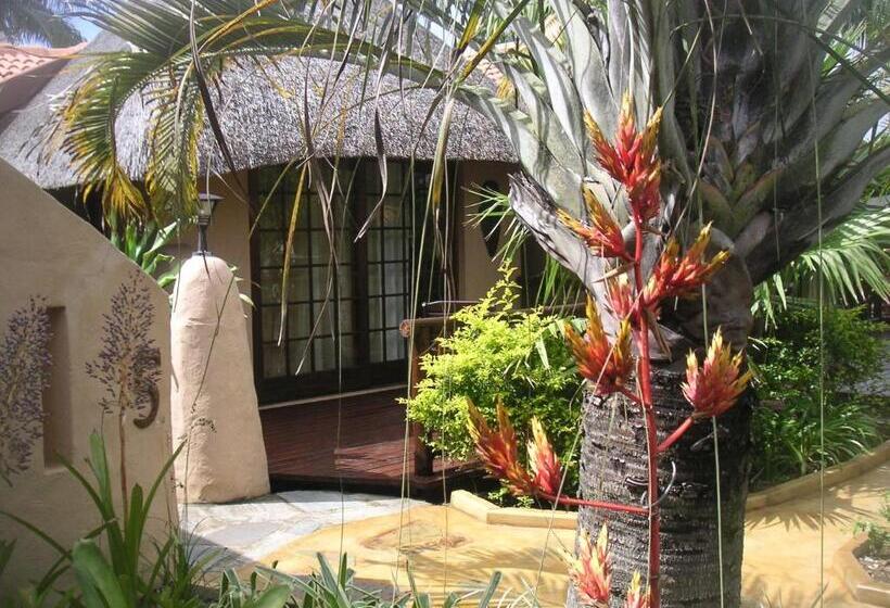 Номер Стандарт, Afrikhaya Guest House