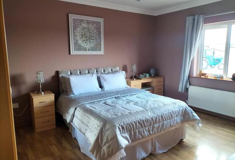 اتاق استاندارد با تخت بزرگ, Ballnamona House