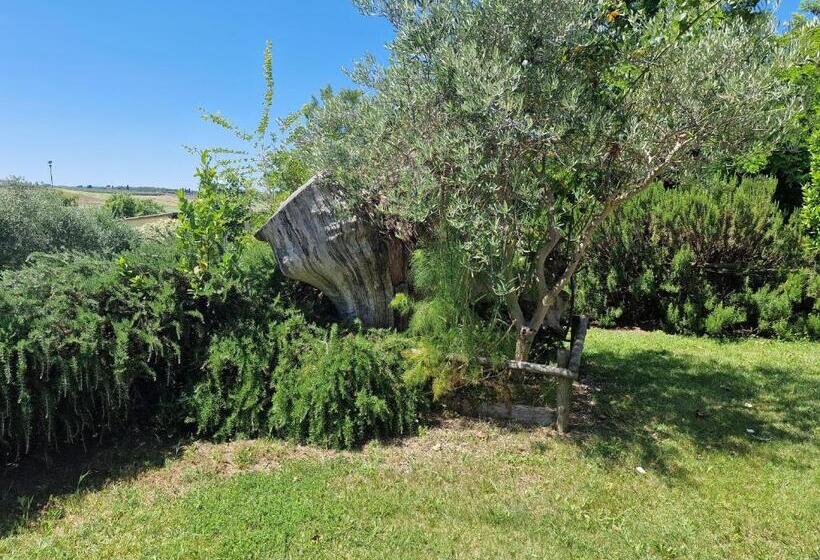 Апартаменты Superior 3 Спальни, Agriturismo Il Mandorlo