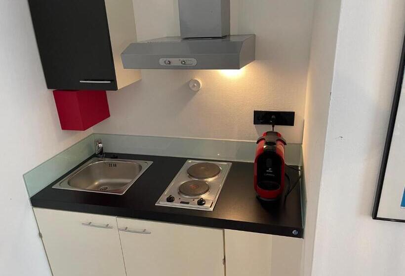 استودیو خانوادگی, Whliving   Apartments & Studios In Konstanz