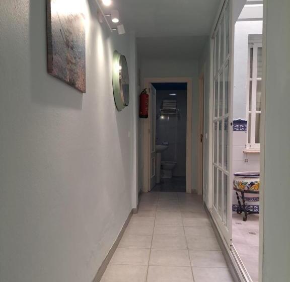 سوییت جونیور, Hostal Montys
