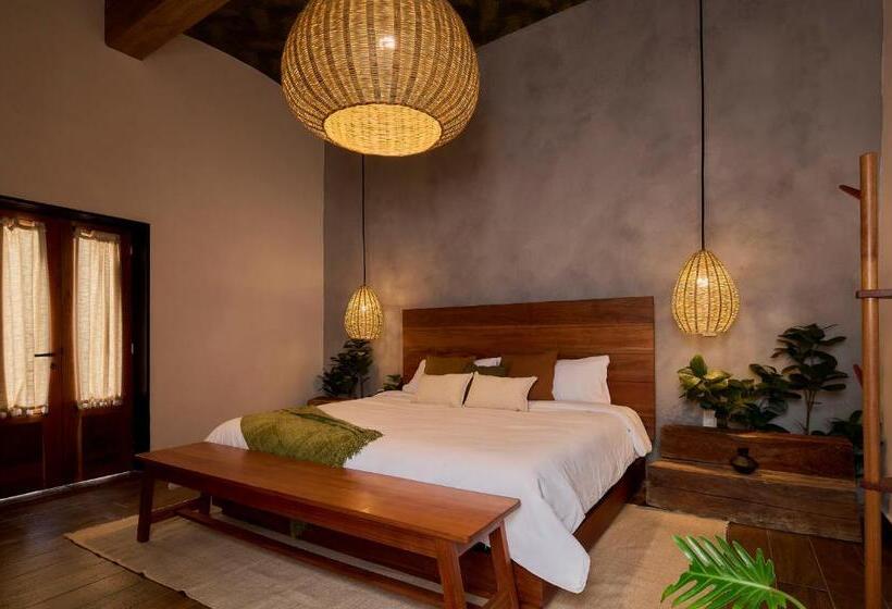 Quarto Estandar, Stay Ortenxia
