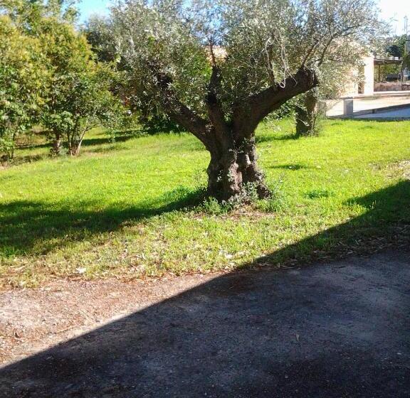 اتاق استاندارد چهار تخته, Agriturismo Silitta