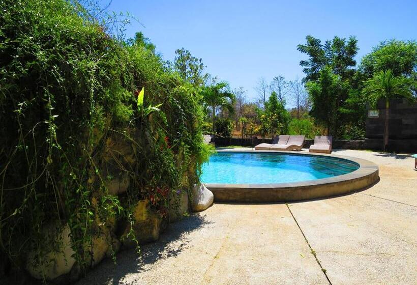 بنگله خانوادگی, Bunga Laut Bungalow