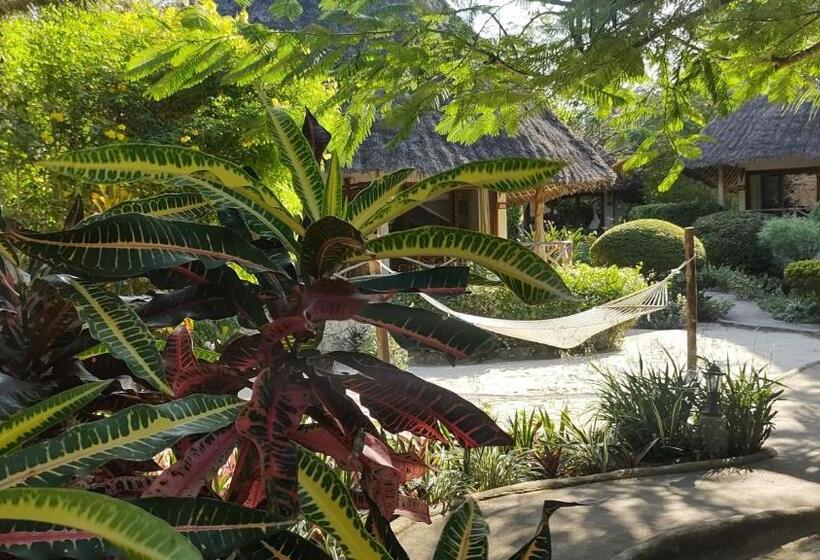 패밀리 룸 바다 전망, Marafiki Bungalows