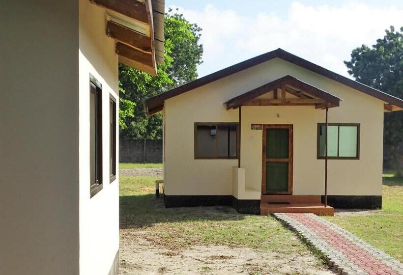 اتاق سوپریور, Mgulani Lodge