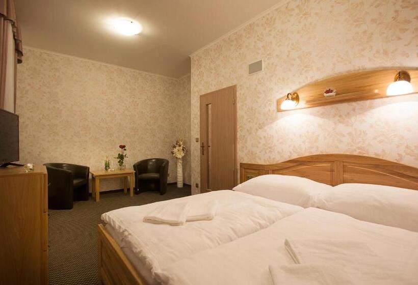 Номер Стандарт, Spa Hotel Millenium Karlovy Vary