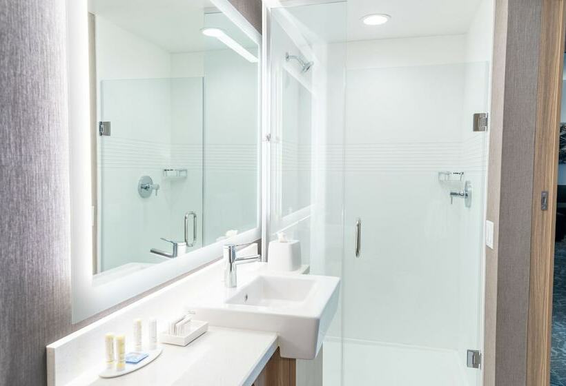 سوییت, Springhill Suites By Marriott Kansas City Lenexa/city Center