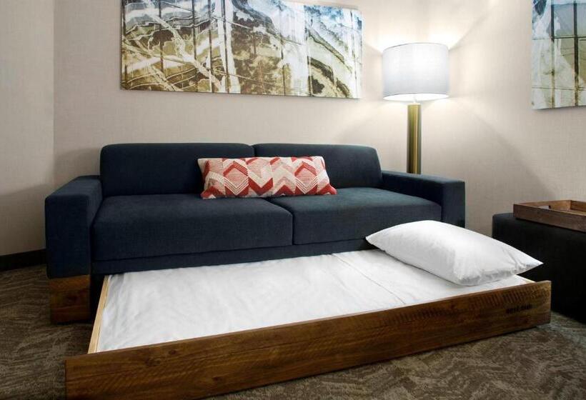 سوئیت با تخت بزرگ, Springhill Suites By Marriott Kansas City Lenexa/city Center
