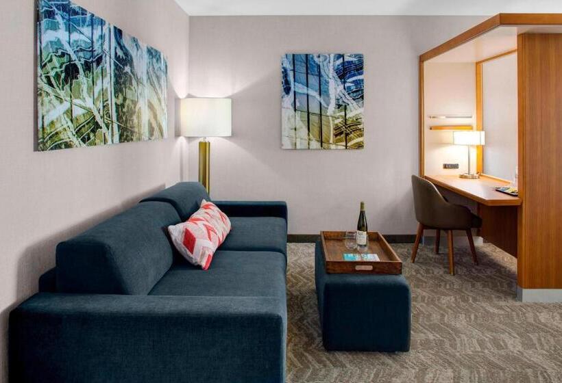سوییت, Springhill Suites By Marriott Kansas City Lenexa/city Center
