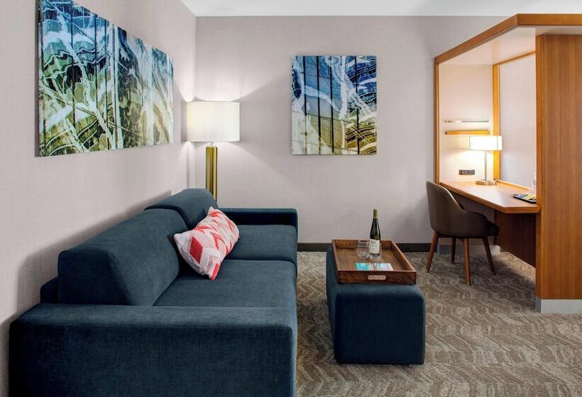 سوییت, Springhill Suites By Marriott Kansas City Lenexa/city Center