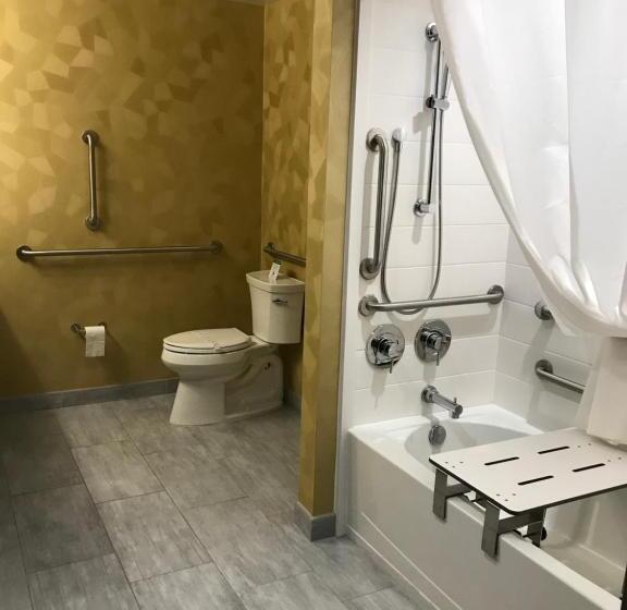 Quarto Estandar Cama King para Deficientes Físicos, Best Western Premier Historic Travelers Hotel Alamo/riverwalk