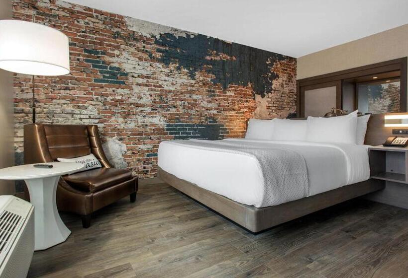 Номер Стандарт Кровать Кинг Адаптированный для Инвалидов, Cambria Hotel Downtown Asheville