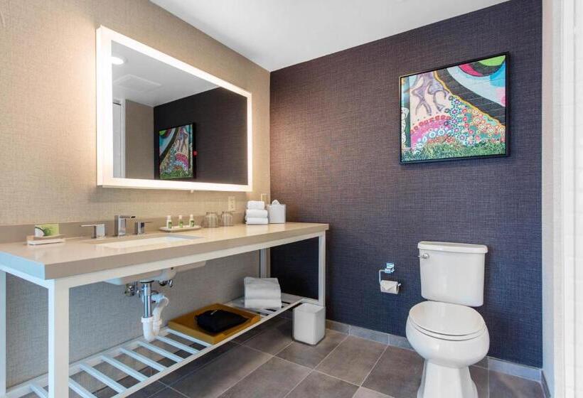 Номер Стандарт Кровать Кинг Адаптированный для Инвалидов, Cambria Hotel Downtown Asheville