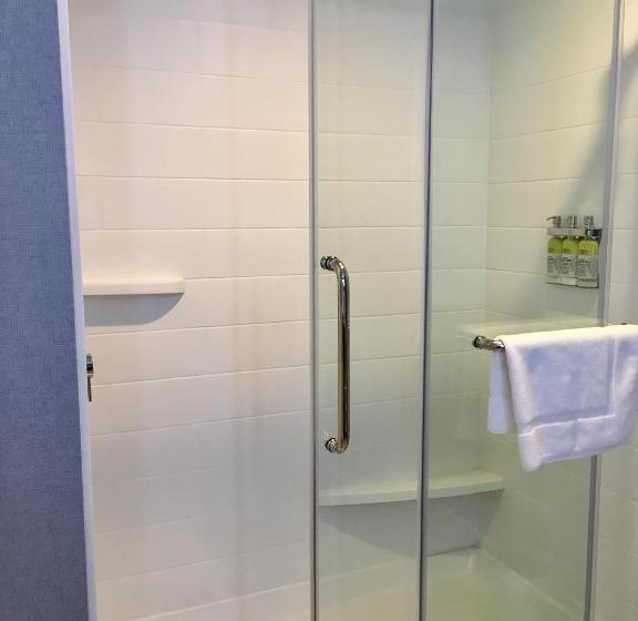Номер Стандарт Адаптированный для Инвалидов, Holiday Inn Express   Grand Island, An Ihg