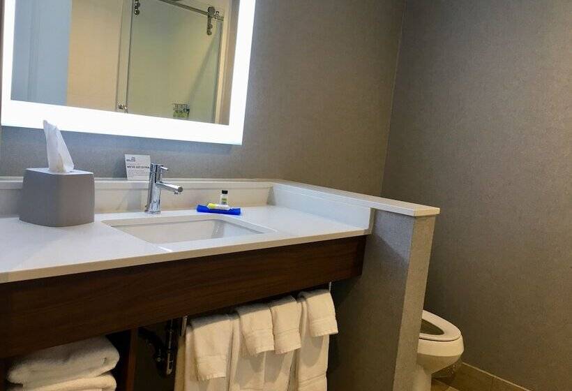 Номер Стандарт Двуспальная Кровать, Holiday Inn Express   Grand Island, An Ihg