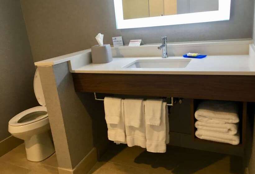 Номер Стандарт, Holiday Inn Express   Grand Island, An Ihg