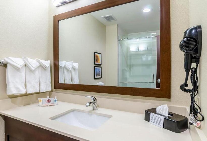 Стандартный Номер Кровать Кинг, Comfort Inn & Suites Augusta