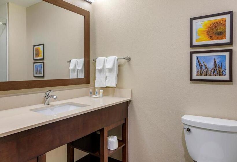 Стандартный Номер Кровать Кинг, Comfort Inn & Suites Augusta