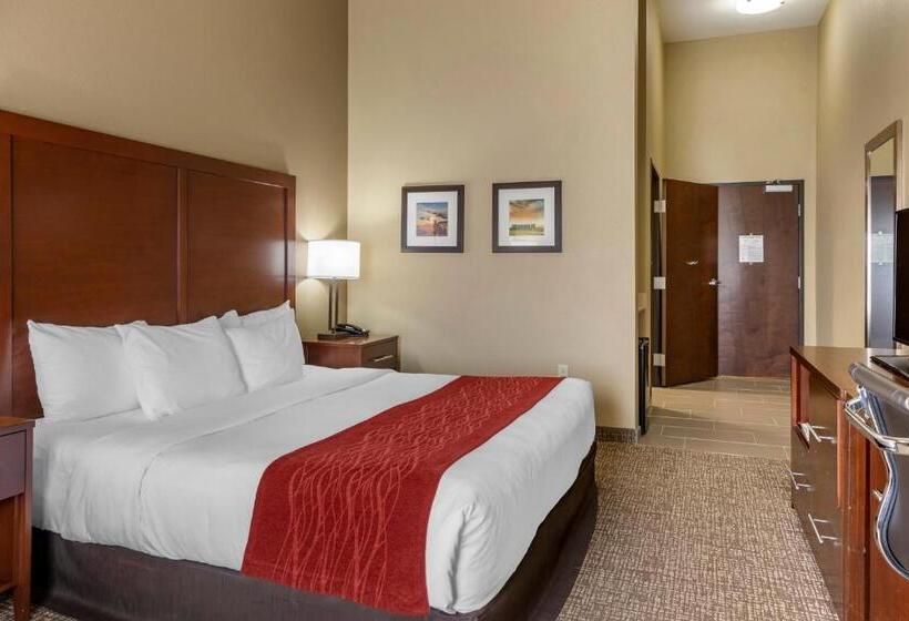 Номер Стандарт Кровать Кинг Адаптированный для Инвалидов, Comfort Inn & Suites Augusta