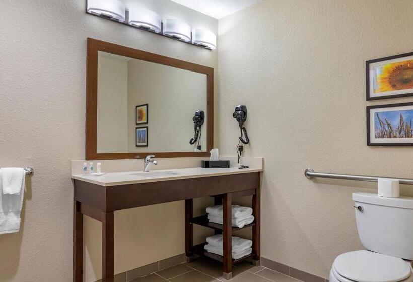 Номер Стандарт Адаптированный для Инвалидов, Comfort Inn & Suites Augusta