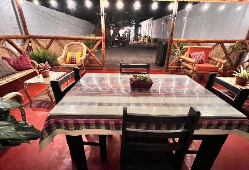 اتاق استاندارد, Miranda S House