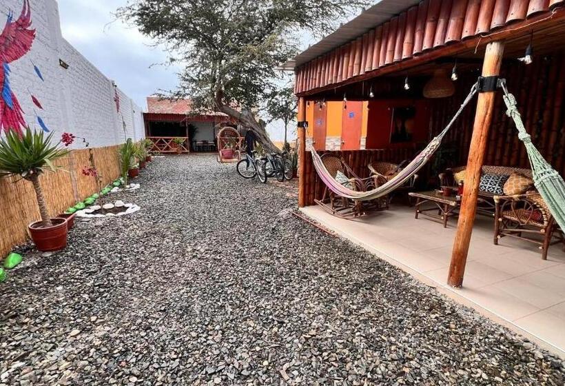 اتاق استاندارد, Miranda S House