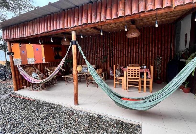 اتاق استاندارد, Miranda S House
