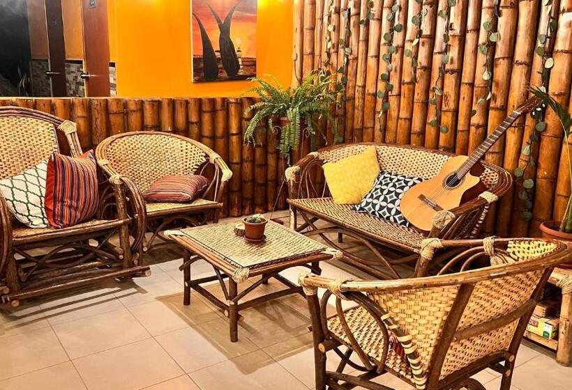اتاق استاندارد, Miranda S House