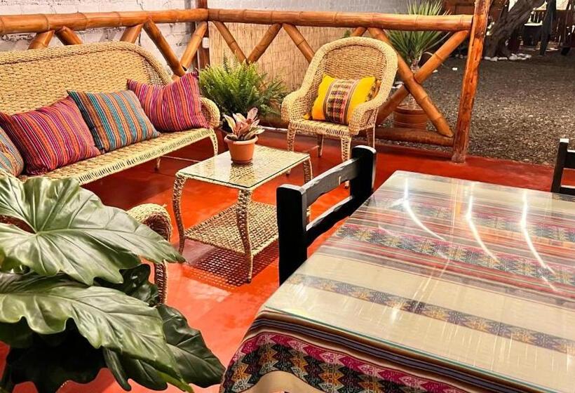 اتاق استاندارد, Miranda S House