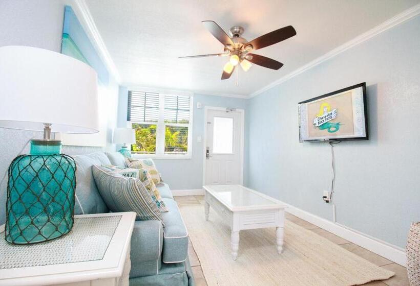 带1个卧室的公寓, Clearwater Beach Suites #203