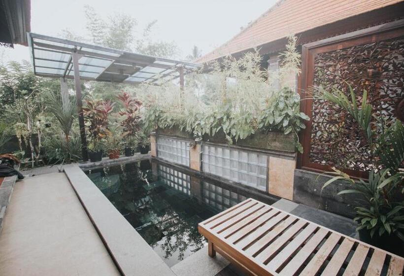 Номер Стандарт, Nalima Villa