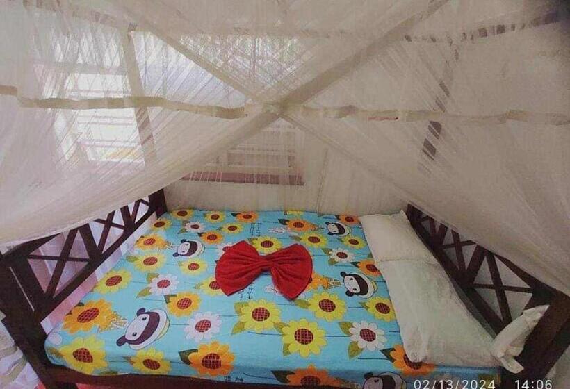 Номер Стандарт, Sheyyes