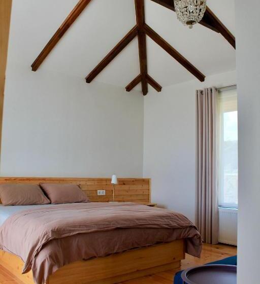 اتاق استاندارد با تخت بزرگ, Lokokina Guesthouse