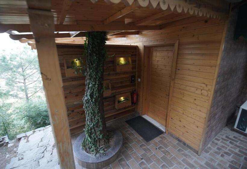 스탠다드 룸 산 전망, Kasauli Hills Resort