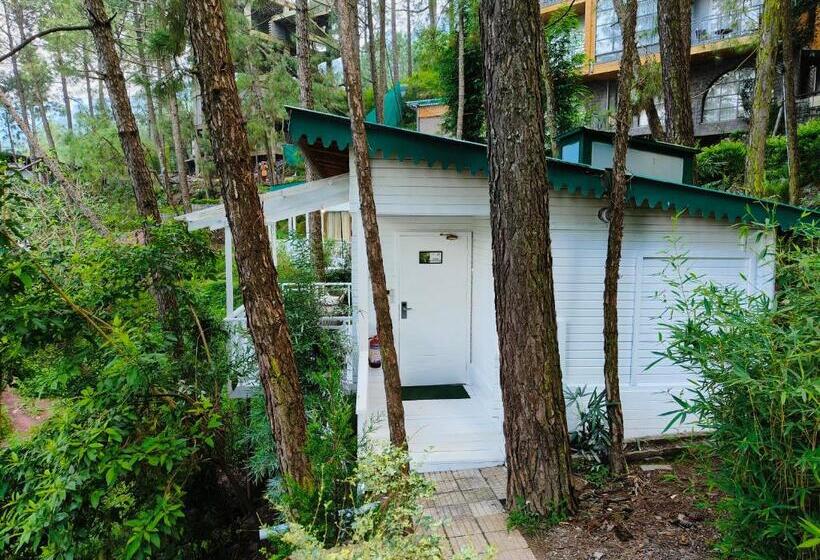 수피리어 룸, Kasauli Hills Resort