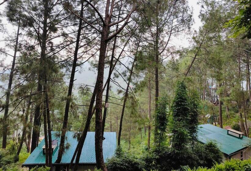 수피리어 룸, Kasauli Hills Resort