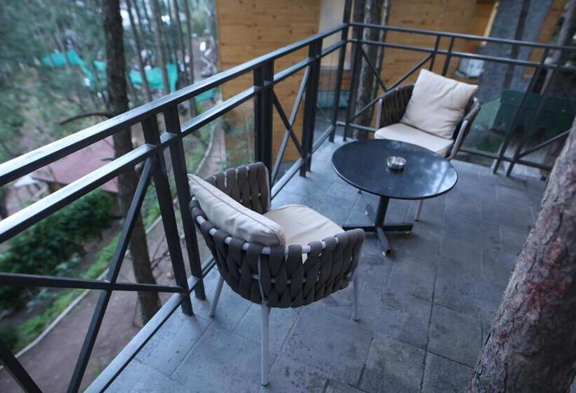 스탠다드 룸 산 전망, Kasauli Hills Resort