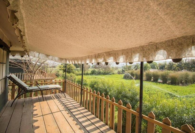 Standard Tent, Maa Ashapura Resort