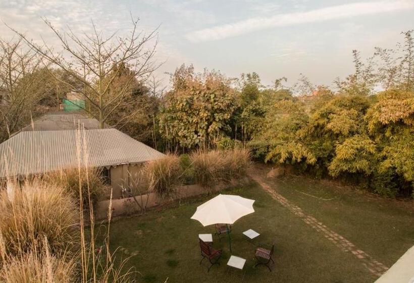 １ベッドルームハウス, Maa Ashapura Resort