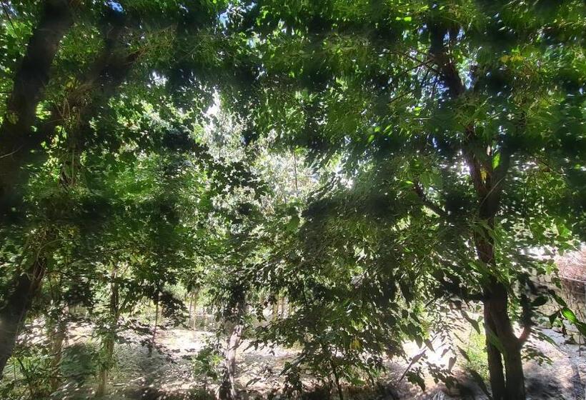 اتاق استاندارد سه تخته با چشم‌انداز باغ, Rus Olive Lodge Skardu