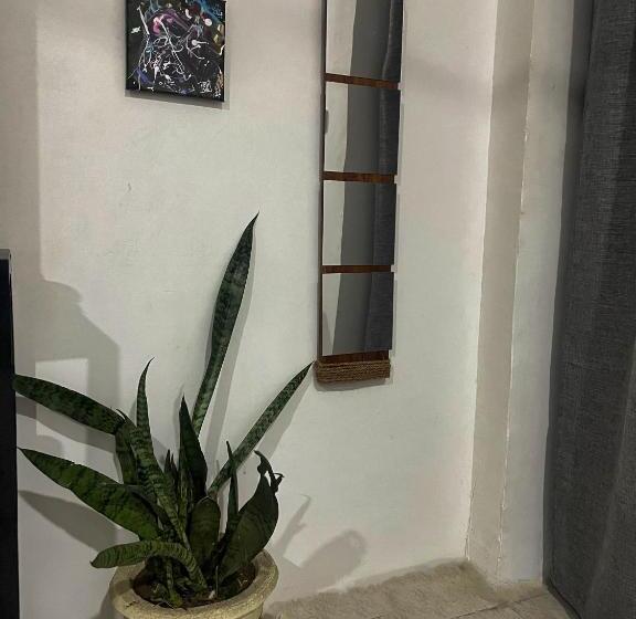 اتاق استاندارد, Avo Boutique