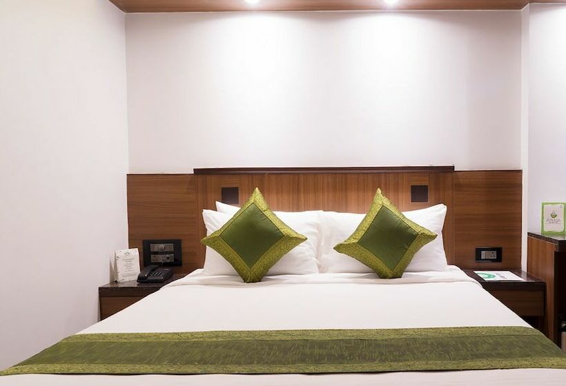 标准间, Treebo Olive Inn