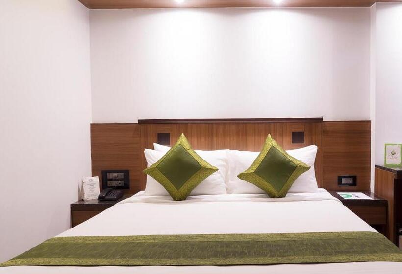 标准间, Treebo Olive Inn